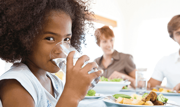 Install A Reverse Osmosis System In Tampa
