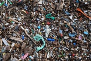 microplastics spread across the beach